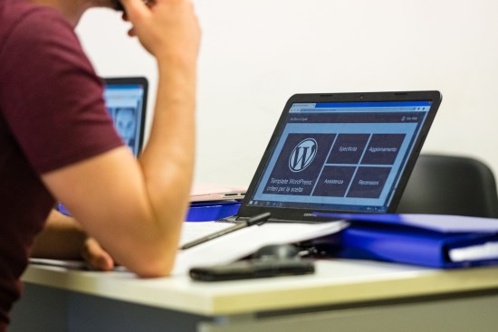  Wordpress Development Company in Noida
